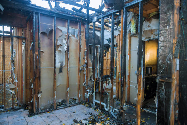 Professional Odor Removal technician working in Chesterton, IN